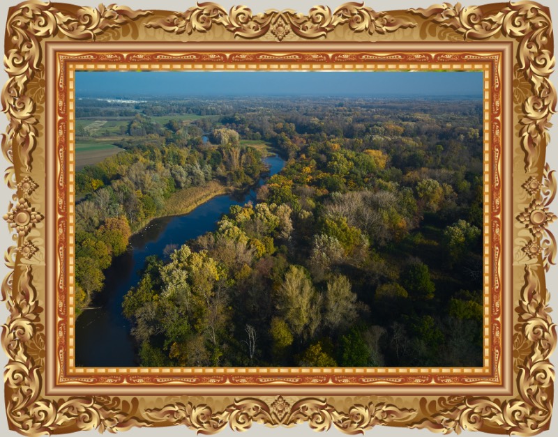 rieka Morava s okolitým lužným lesom